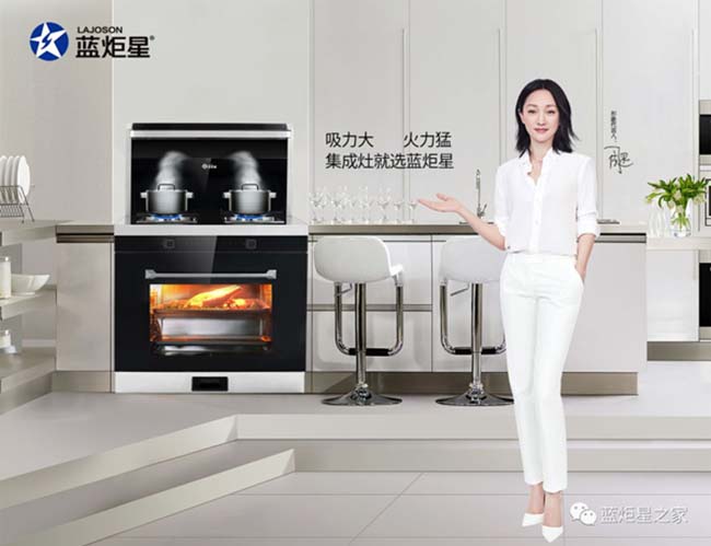 集成灶加盟的好品牌,這是藝術的裝飾 集成灶加盟