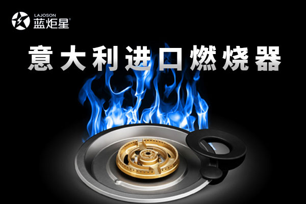 2016年藍(lán)炬星電器與DEFENDI(蒂芬迪)燃燒器簽約儀式現(xiàn)場(chǎng)