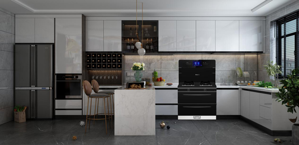 藍(lán)炬星AIoT周迅&middot;2號(hào)plus集成灶